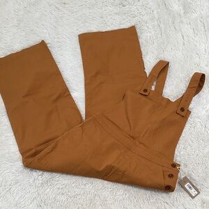 🎻 NWT Patagonia Stand Up Cropped Overalls